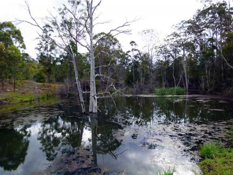 619 Parker Rd. Grapetree., Crows Nest QLD 4355