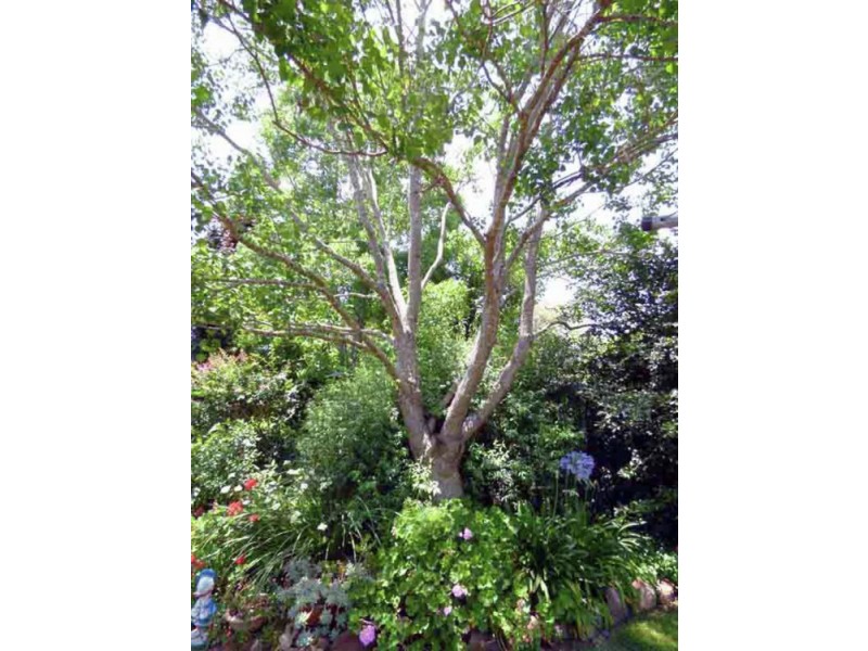 1 Lee Crt, Crows Nest QLD 4355