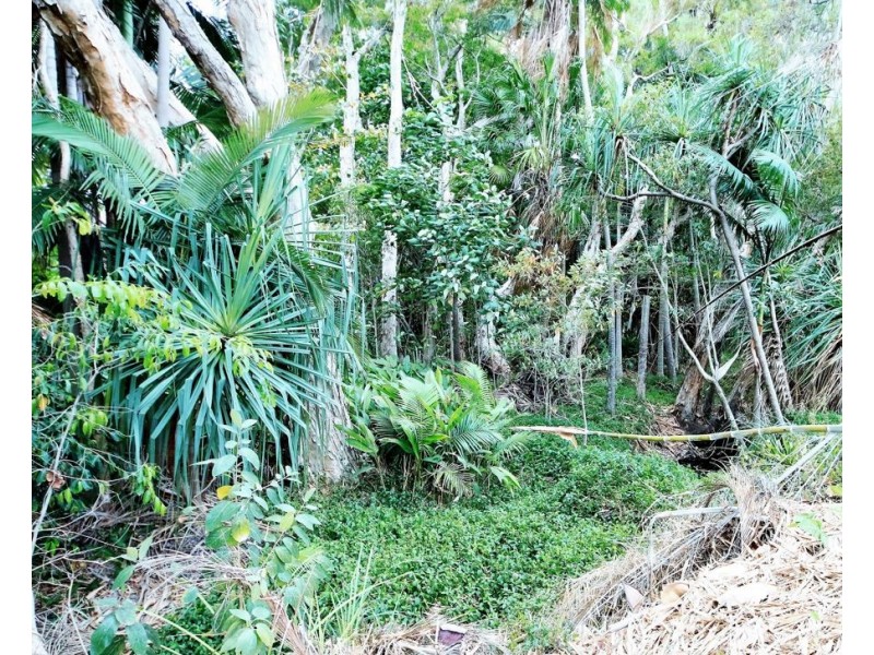 13 Augusta Drive, Balgal Beach QLD 4816