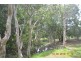 293 Ocean Parade, Balgal Beach QLD 4816