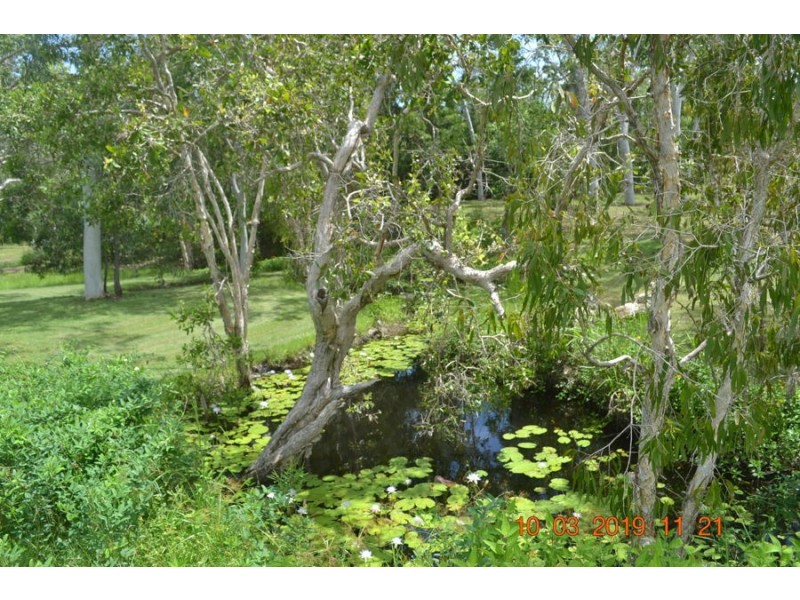 293 Ocean Parade, Balgal Beach QLD 4816