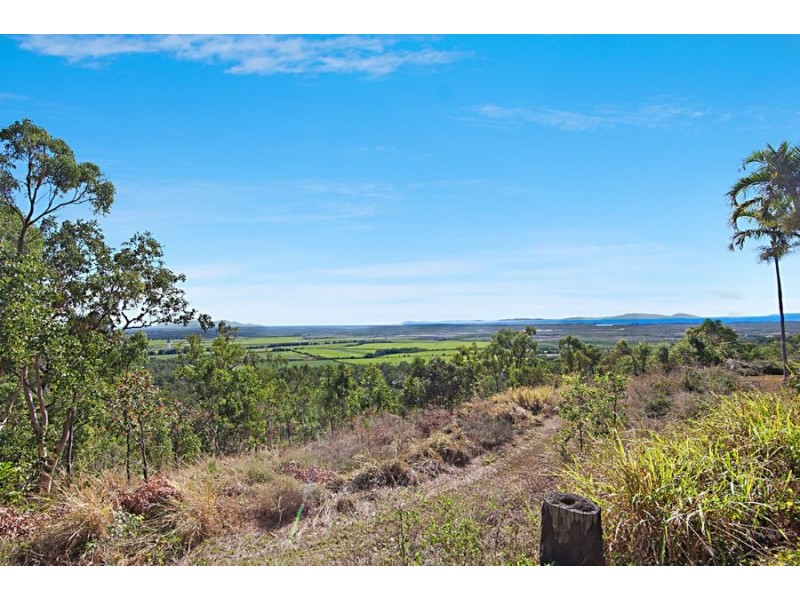 124 Probert Road, Bambaroo QLD 4850