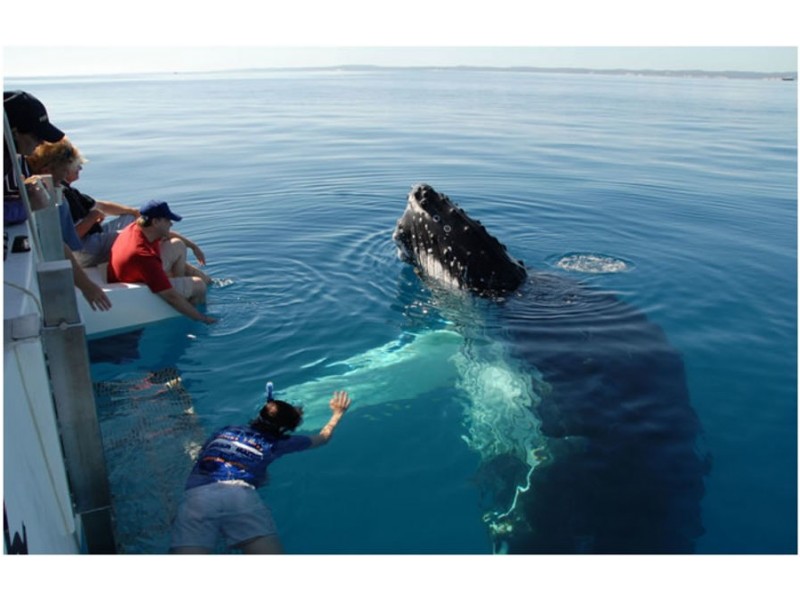 4 Bracefell Crt, Fraser Island QLD 4581