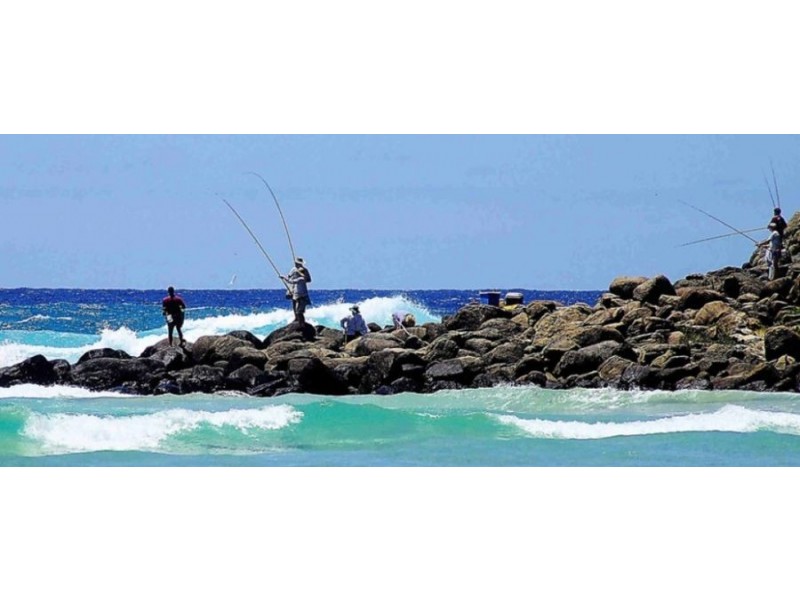 4 Bracefell Crt, Fraser Island QLD 4581