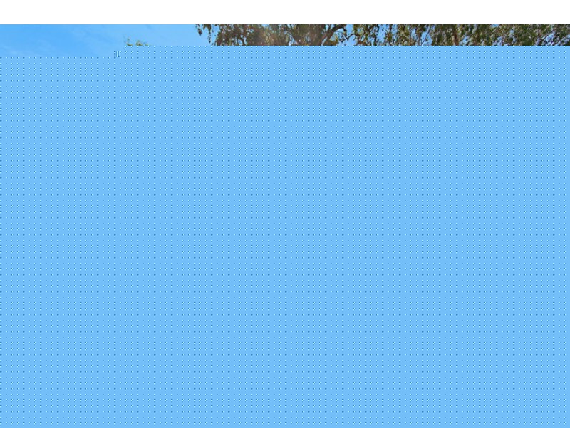 4 The Vines Crt, Townsville QLD 4810