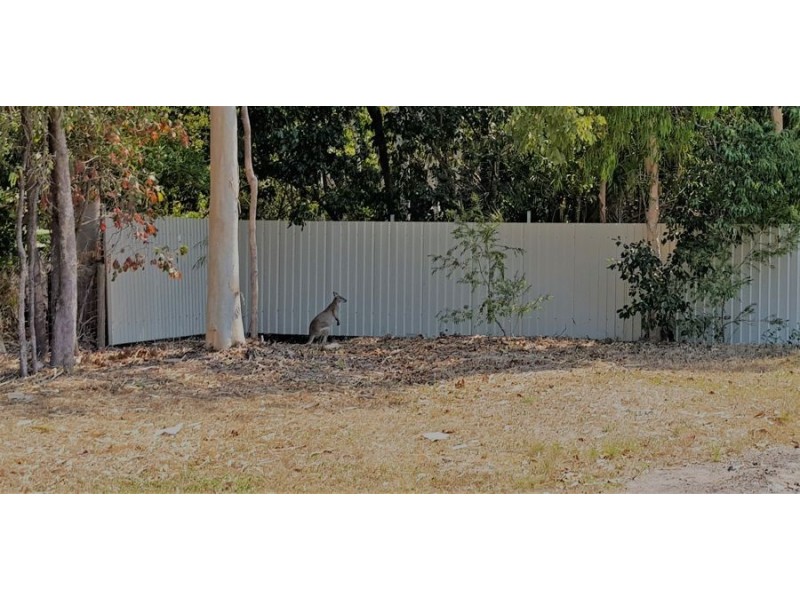 7 Augusta Dr, Balgal Beach QLD 4816