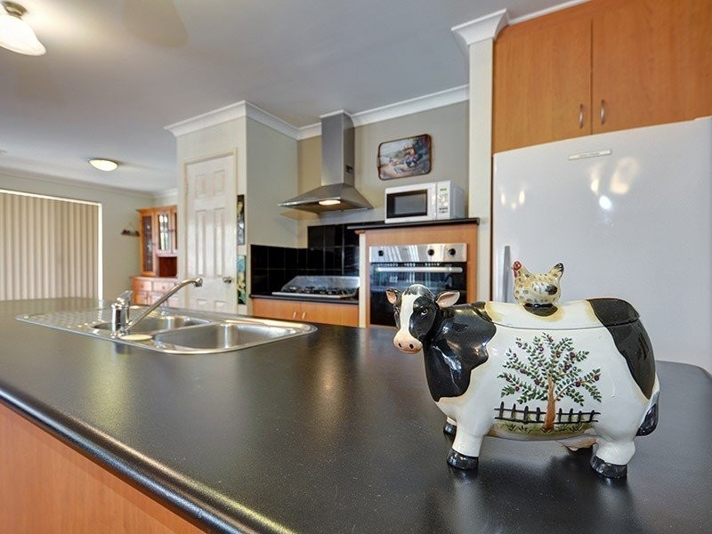 9 Witchetty Loop, Banksia Grove WA 6031