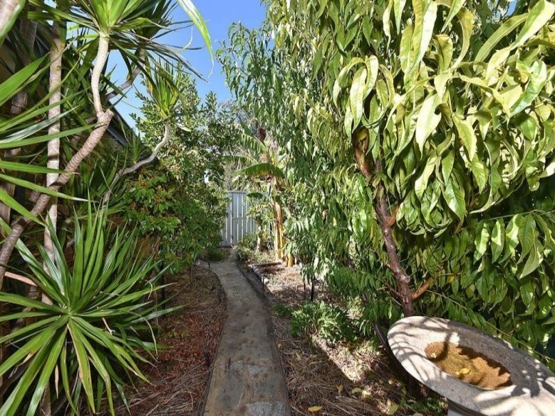 6 Kurnalpi Turn, Wanneroo WA 6065