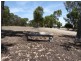 416 Rowley Road, Wandi WA 6167
