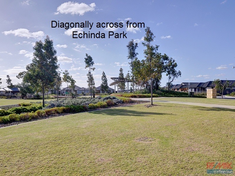 46 Echidna Street, Banksia Grove WA 6031