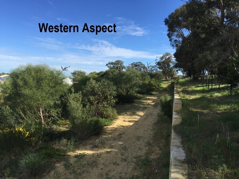 21 Stockholm Road, Wanneroo WA 6065