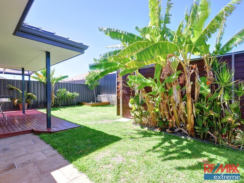 16 Jingana Road, Banksia Grove WA 6031