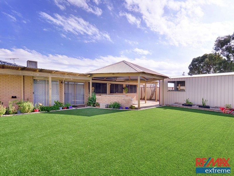 19 Sapling Way, Hocking WA 6065