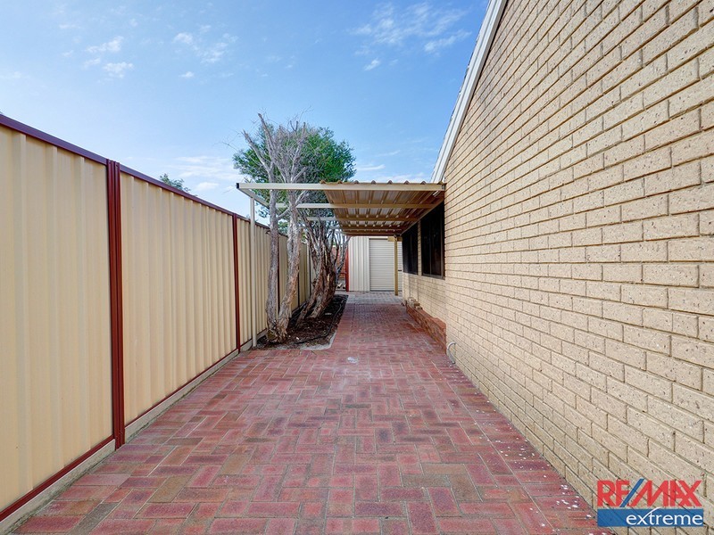 19 Sapling Way, Hocking WA 6065