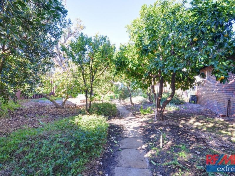 20 Manbari Crescent, Wanneroo WA 6065