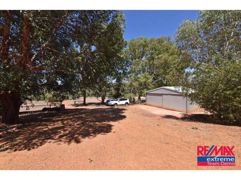 31 Spoonbill Close, Chittering WA 6084