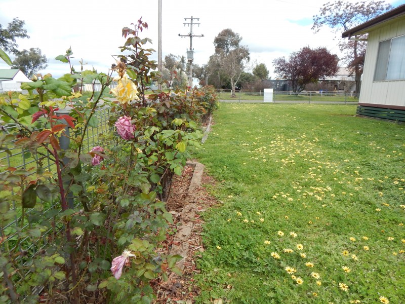 60 Buller Street, Oaklands NSW 2646