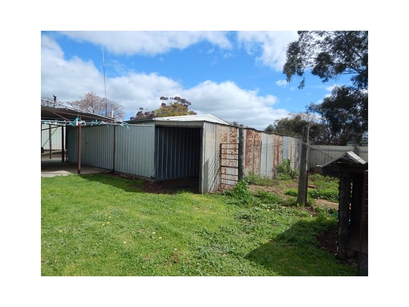 60 Buller Street, Oaklands NSW 2646