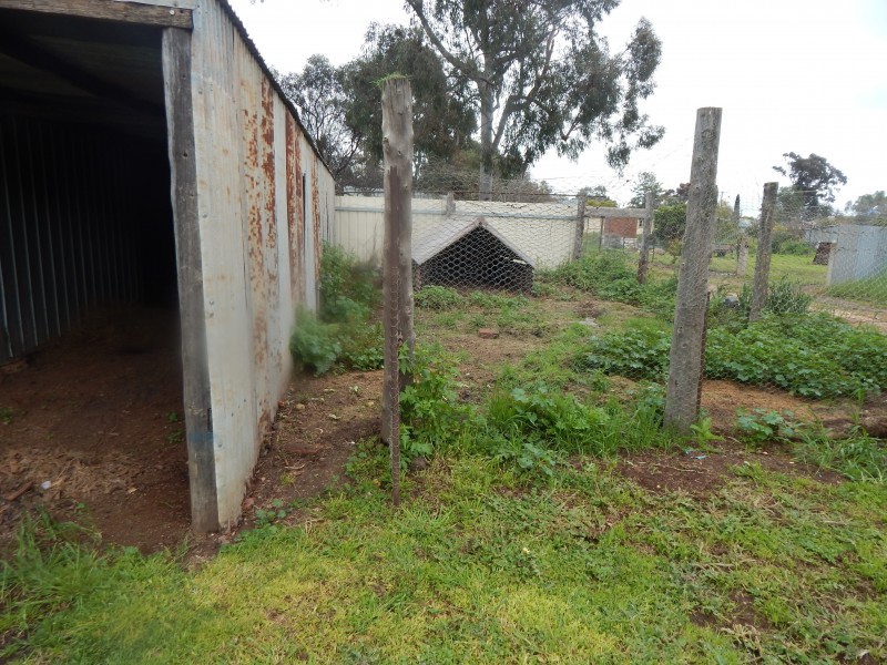 60 Buller Street, Oaklands NSW 2646