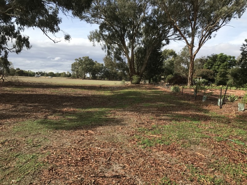 92 Strathvale Road, Berrigan NSW 2712