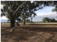 92 Strathvale Road, Berrigan NSW 2712