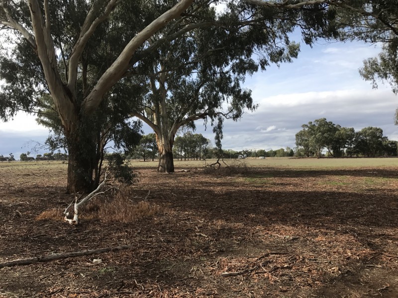 92 Strathvale Road, Berrigan NSW 2712