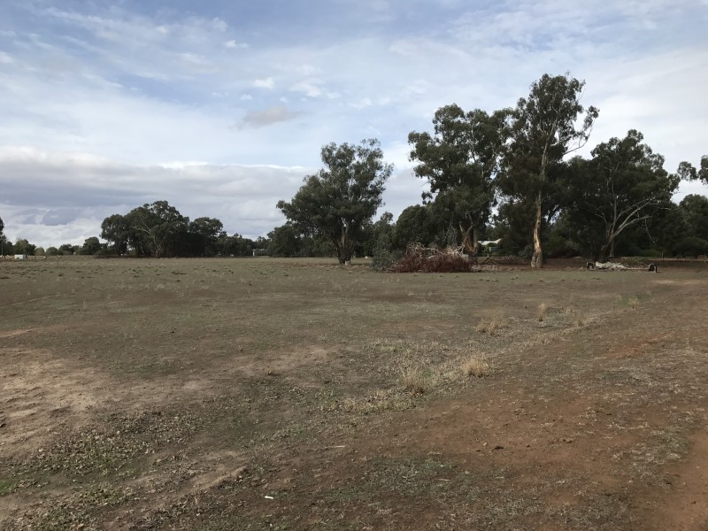 92 Strathvale Road, Berrigan NSW 2712
