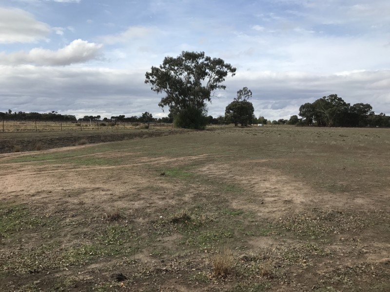 92 Strathvale Road, Berrigan NSW 2712