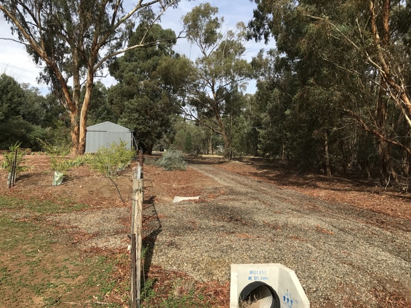 92 Strathvale Road, Berrigan NSW 2712