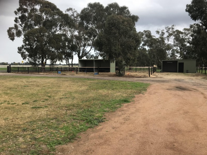 32 Racecourse Road, Berrigan NSW 2712