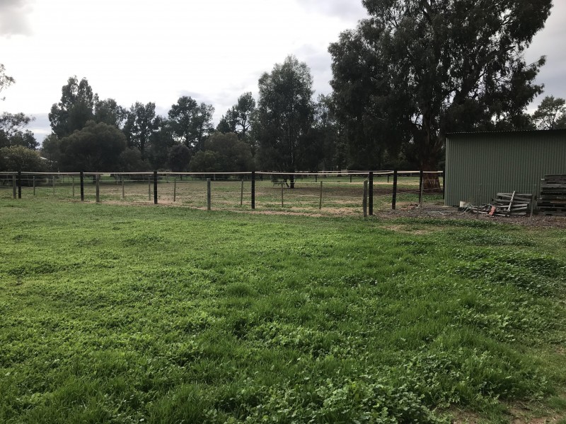 32 Racecourse Road, Berrigan NSW 2712