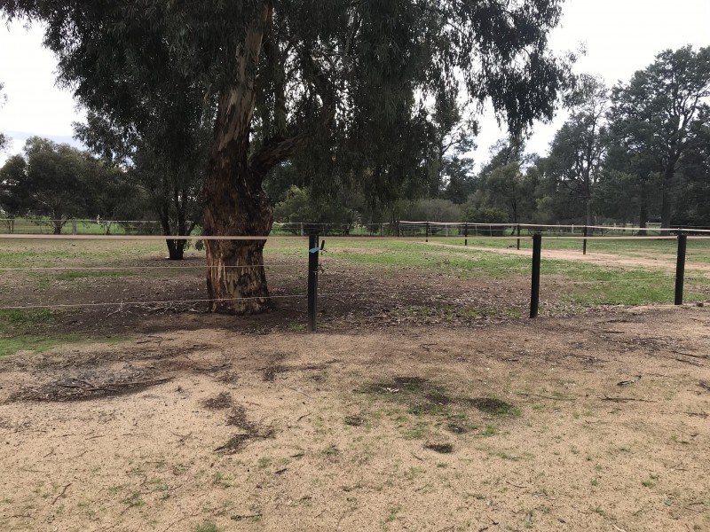 32 Racecourse Road, Berrigan NSW 2712