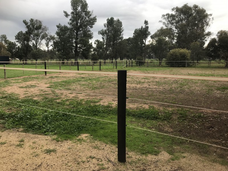 32 Racecourse Road, Berrigan NSW 2712