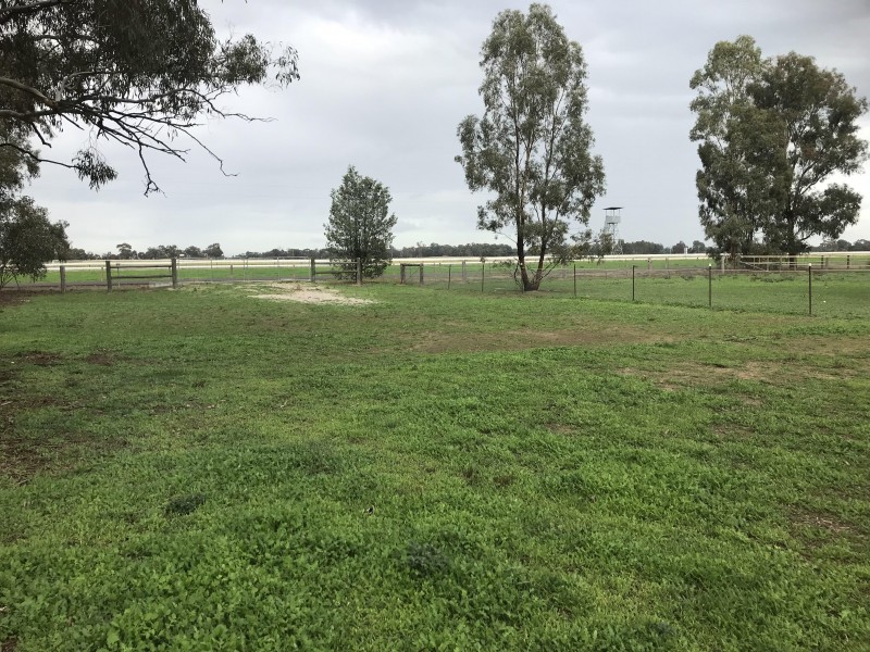 32 Racecourse Road, Berrigan NSW 2712