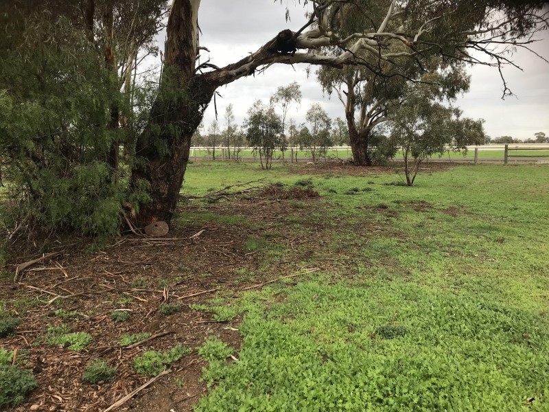 32 Racecourse Road, Berrigan NSW 2712