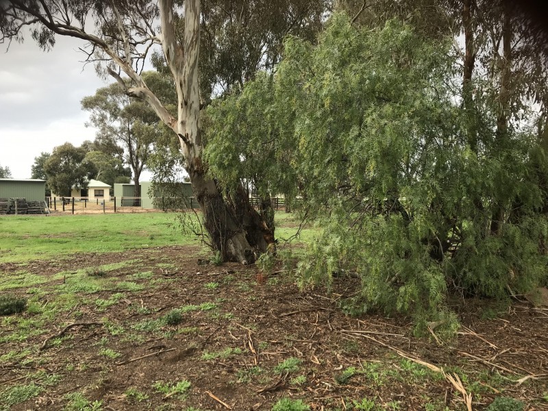 32 Racecourse Road, Berrigan NSW 2712