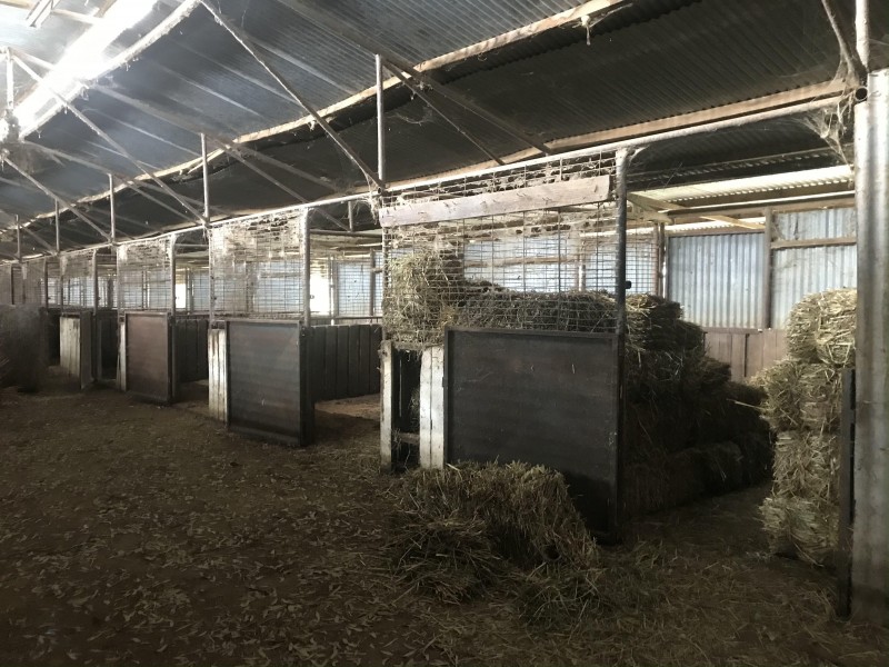 102-104 Barooga Street, Berrigan NSW 2712