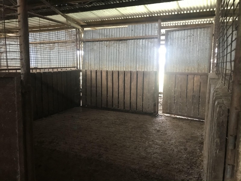 102-104 Barooga Street, Berrigan NSW 2712