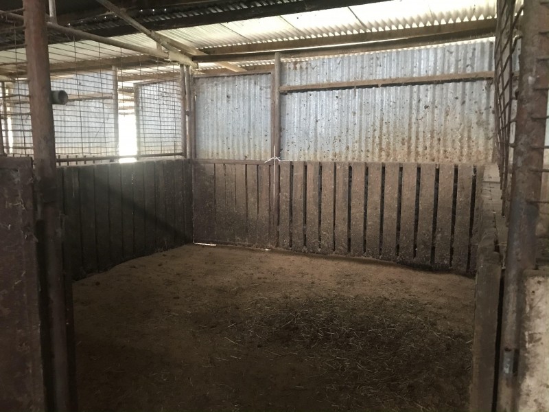 102-104 Barooga Street, Berrigan NSW 2712