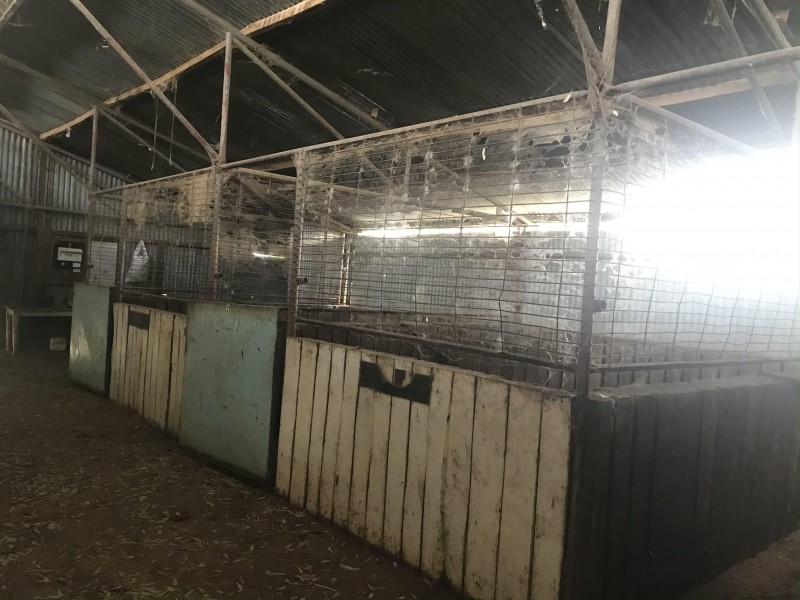 102-104 Barooga Street, Berrigan NSW 2712