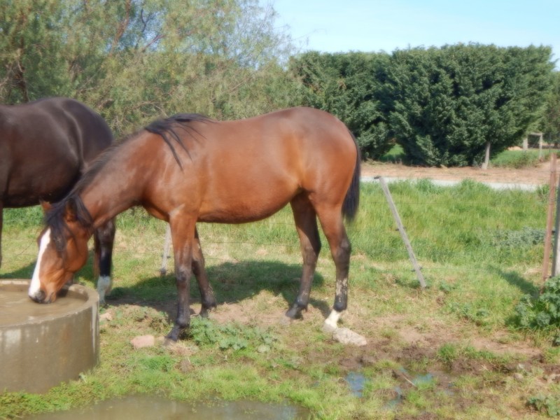 651 Jerilderie Road, Berrigan NSW 2712