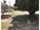 Unit 1/1-5 Momolong Street, Berrigan NSW 2712