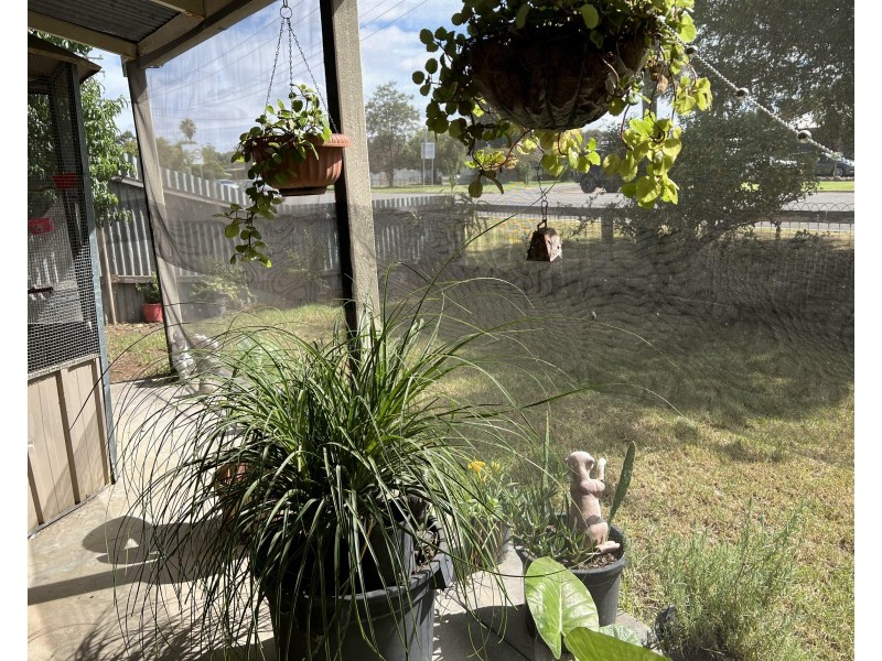 27 Barooga Street, Berrigan NSW 2712