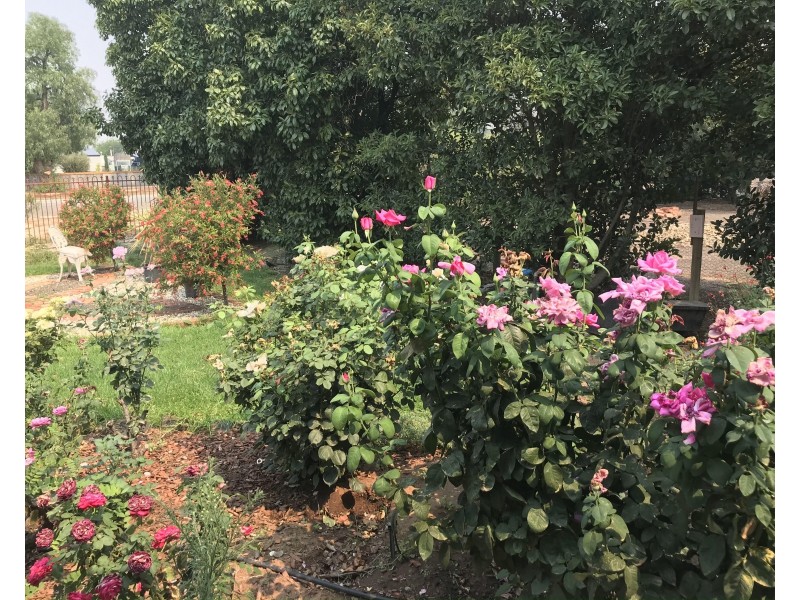 144 Jerilderie Street, Berrigan NSW 2712