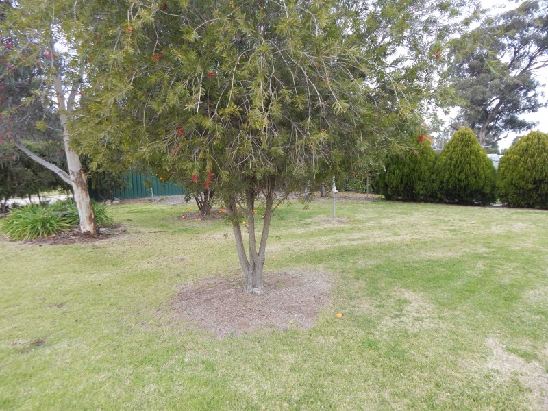 26 Jerilderie Street, Berrigan NSW 2712