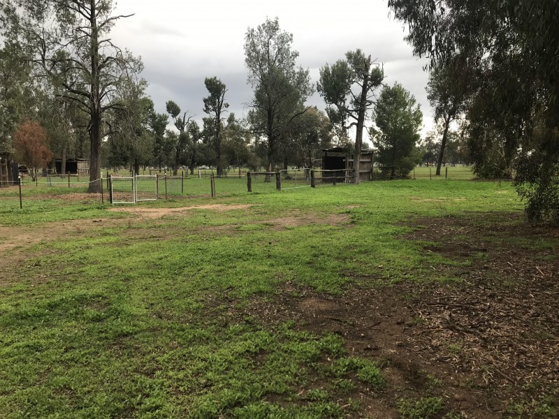 32 Racecourse Road, Berrigan NSW 2712