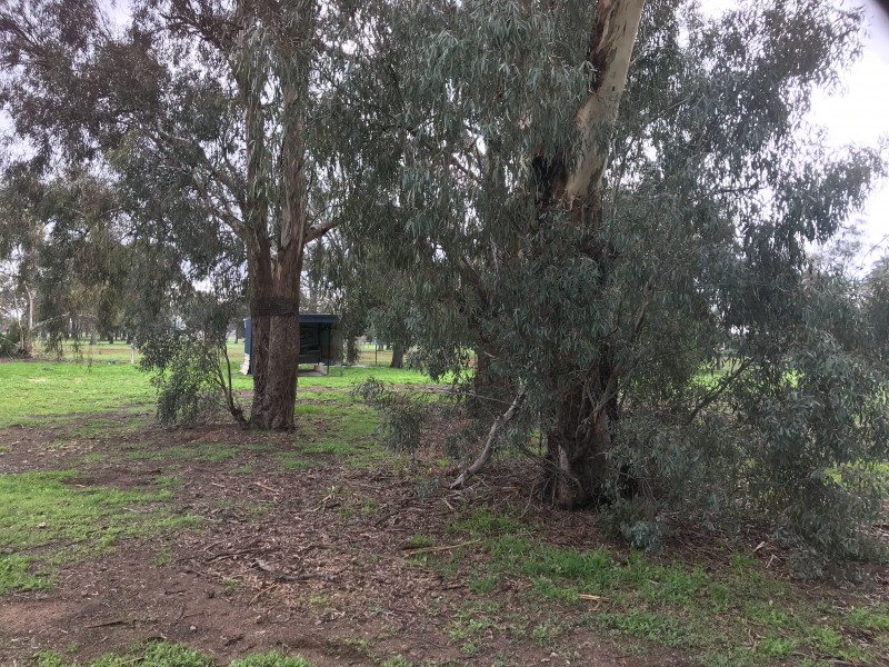 32 Racecourse Road, Berrigan NSW 2712