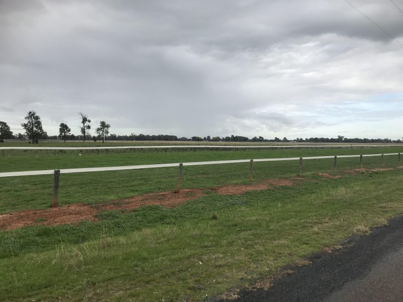 32 Racecourse Road, Berrigan NSW 2712