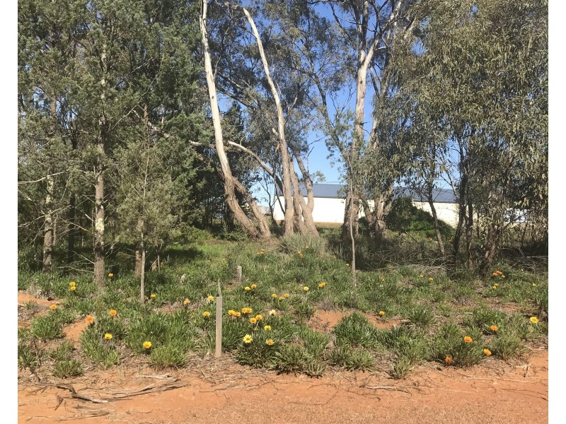 91-93 Milthorpe Street, Oaklands NSW 2646