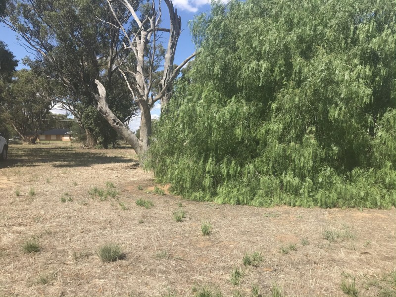 176 Jerilderie Street, Berrigan NSW 2712